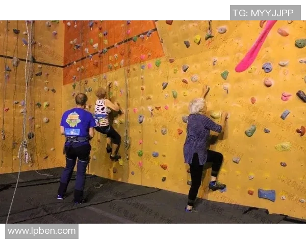 攀岩热潮下的北京攀岩队耐力训练新变革探讨与展望