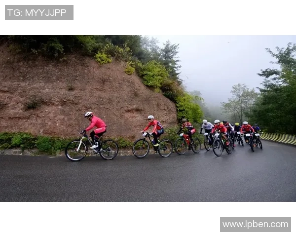 重庆极限运动队与深圳极限运动队赛后战术分析与总结探讨